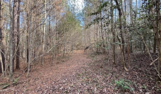 Photo #29 of SOLD property in 01 Peachtree Hills Road, Spring Hope, NC 11.3 acres