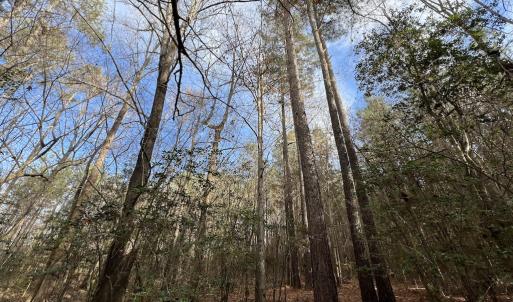 Photo #31 of SOLD property in 01 Peachtree Hills Road, Spring Hope, NC 11.3 acres