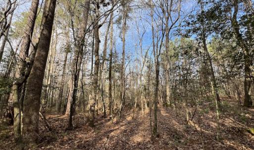 Photo #32 of SOLD property in 01 Peachtree Hills Road, Spring Hope, NC 11.3 acres