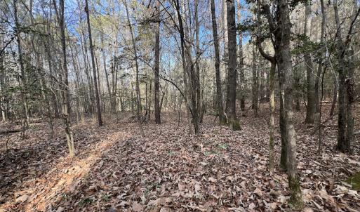 Photo #33 of SOLD property in 01 Peachtree Hills Road, Spring Hope, NC 11.3 acres