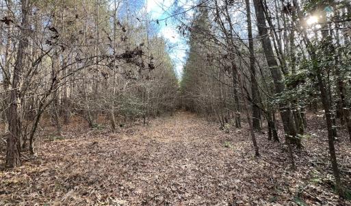 Photo #35 of SOLD property in 01 Peachtree Hills Road, Spring Hope, NC 11.3 acres