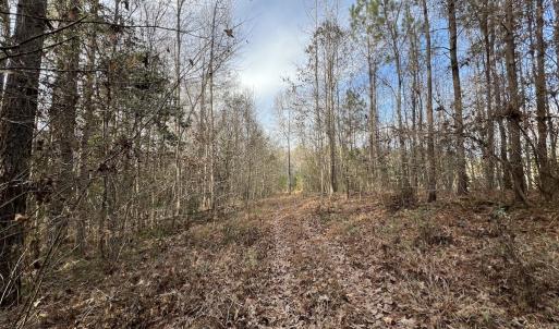 Photo #36 of SOLD property in 01 Peachtree Hills Road, Spring Hope, NC 11.3 acres