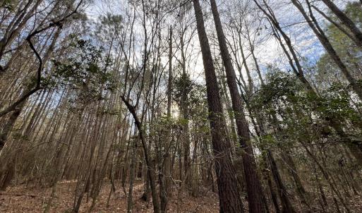 Photo #38 of SOLD property in 01 Peachtree Hills Road, Spring Hope, NC 11.3 acres