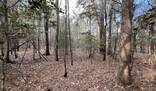 Photo #39 of SOLD property in 01 Peachtree Hills Road, Spring Hope, NC 11.3 acres