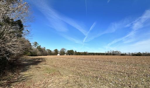 Photo #10 of SOLD property in Off Old Stage Hwy, Smithfield, VA 18.7 acres