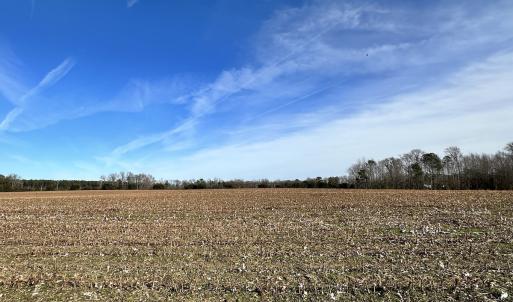 Photo #11 of SOLD property in Off Old Stage Hwy, Smithfield, VA 18.7 acres