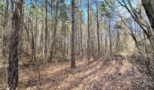 Photo #12 of SOLD property in Off Old Stage Hwy, Smithfield, VA 18.7 acres