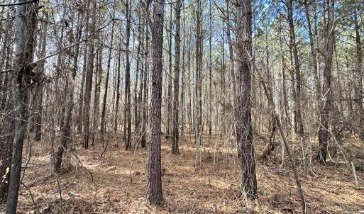 Photo #13 of SOLD property in Off Old Stage Hwy, Smithfield, VA 18.7 acres