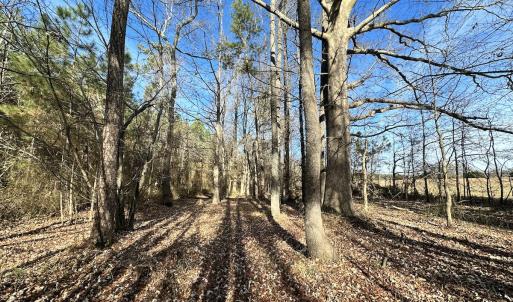 Photo #14 of SOLD property in Off Old Stage Hwy, Smithfield, VA 18.7 acres