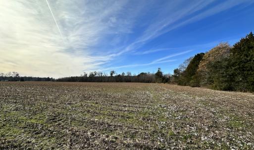 Photo #8 of SOLD property in Off Old Stage Hwy, Smithfield, VA 18.7 acres