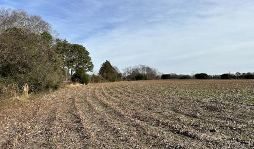 Photo #9 of SOLD property in Off Old Stage Hwy, Smithfield, VA 18.7 acres