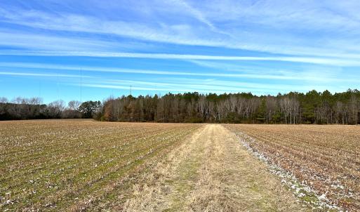 Photo #12 of SOLD property in Off Burwells Bay Rd, Smithfield, VA 101.3 acres