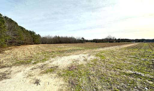 Photo #13 of SOLD property in Off Burwells Bay Rd, Smithfield, VA 101.3 acres