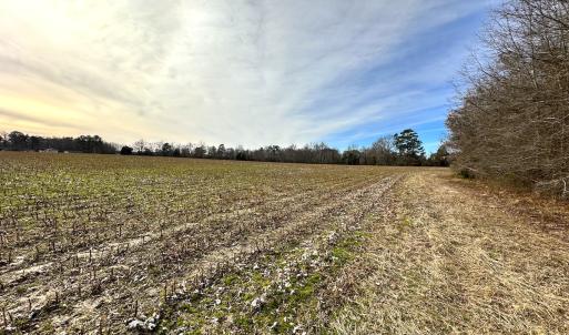 Photo #14 of SOLD property in Off Burwells Bay Rd, Smithfield, VA 101.3 acres