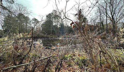 Photo #17 of SOLD property in Off Burwells Bay Rd, Smithfield, VA 101.3 acres
