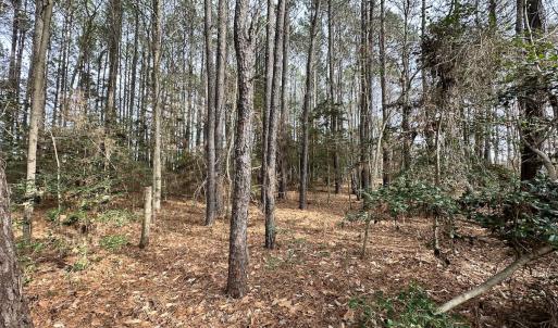 Photo #19 of SOLD property in Off Burwells Bay Rd, Smithfield, VA 101.3 acres