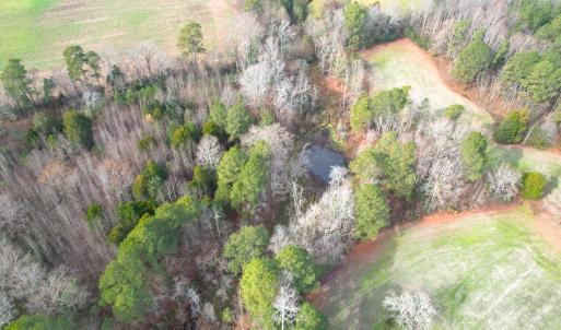 Photo #7 of SOLD property in Off Burwells Bay Rd, Smithfield, VA 101.3 acres