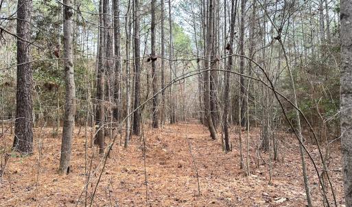 Photo #21 of SOLD property in Off Burwells Bay Rd, Smithfield, VA 101.3 acres