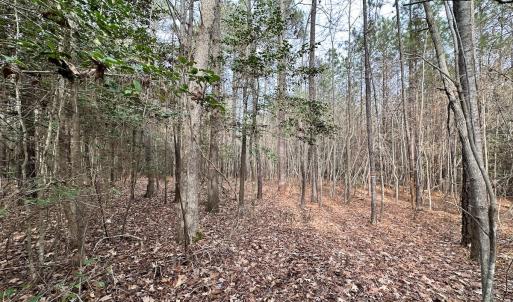 Photo #24 of SOLD property in Off Burwells Bay Rd, Smithfield, VA 101.3 acres