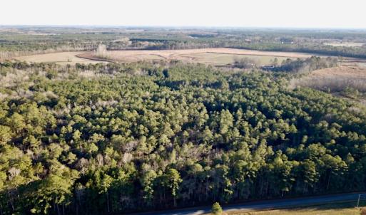 Photo #2 of SOLD property in 320 Collins Rd, Whaleyville, VA 18.5 acres