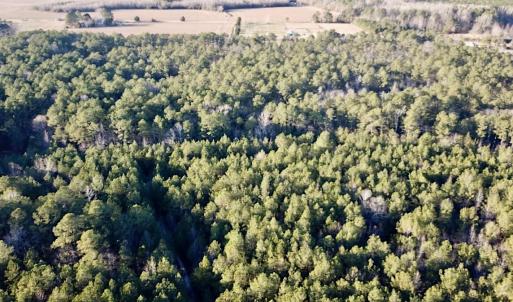 Photo #3 of SOLD property in 320 Collins Rd, Whaleyville, VA 18.5 acres