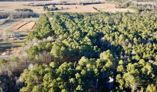 Photo #4 of SOLD property in 320 Collins Rd, Whaleyville, VA 18.5 acres