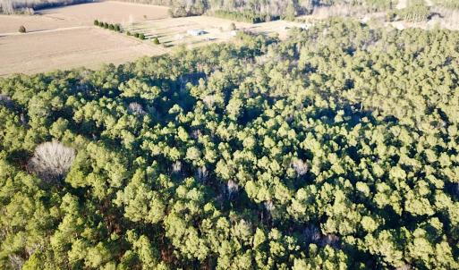 Photo #5 of SOLD property in 320 Collins Rd, Whaleyville, VA 18.5 acres