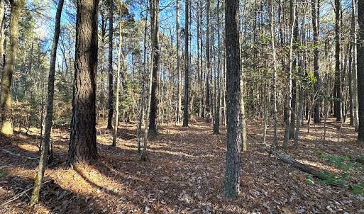 Photo #7 of SOLD property in 320 Collins Rd, Whaleyville, VA 18.5 acres