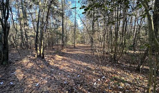 Photo #11 of SOLD property in 320 Collins Rd, Whaleyville, VA 18.5 acres