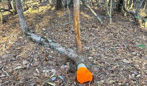 Photo #13 of SOLD property in 320 Collins Rd, Whaleyville, VA 18.5 acres