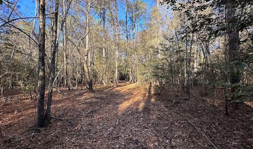 Photo #14 of SOLD property in 320 Collins Rd, Whaleyville, VA 18.5 acres