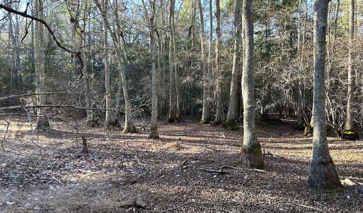 Photo #16 of SOLD property in 320 Collins Rd, Whaleyville, VA 18.5 acres