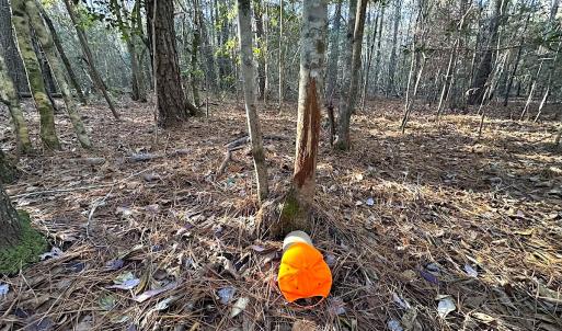 Photo #19 of SOLD property in 320 Collins Rd, Whaleyville, VA 18.5 acres