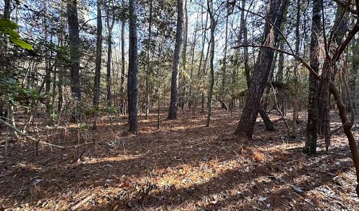 Photo #22 of SOLD property in 320 Collins Rd, Whaleyville, VA 18.5 acres