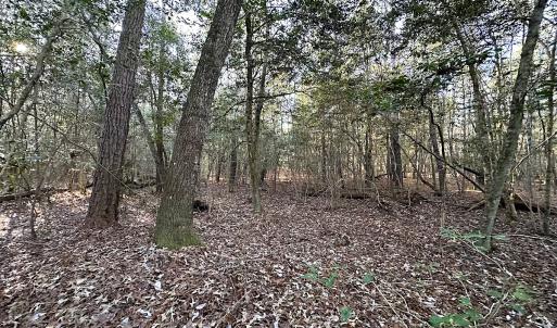 Photo #24 of SOLD property in 320 Collins Rd, Whaleyville, VA 18.5 acres