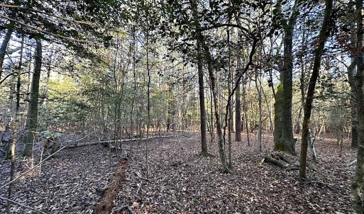 Photo #25 of SOLD property in 320 Collins Rd, Whaleyville, VA 18.5 acres