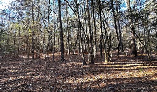 Photo #28 of SOLD property in 320 Collins Rd, Whaleyville, VA 18.5 acres
