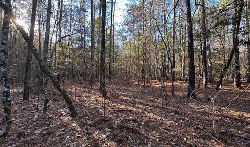 Photo #29 of SOLD property in 320 Collins Rd, Whaleyville, VA 18.5 acres