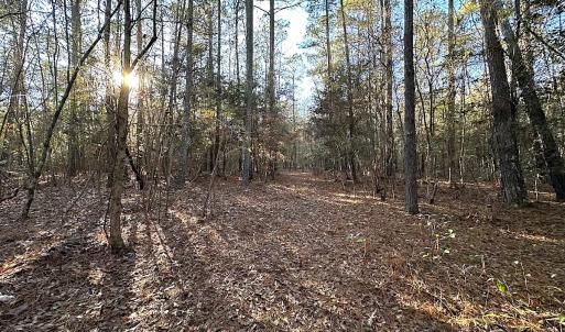 Photo #33 of SOLD property in 320 Collins Rd, Whaleyville, VA 18.5 acres