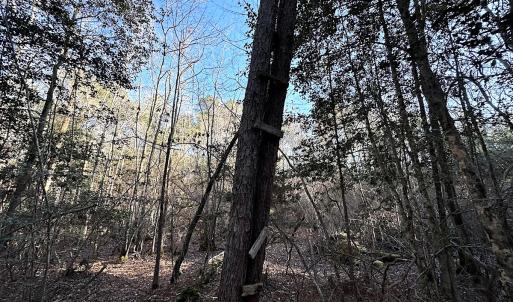 Photo #35 of SOLD property in 320 Collins Rd, Whaleyville, VA 18.5 acres