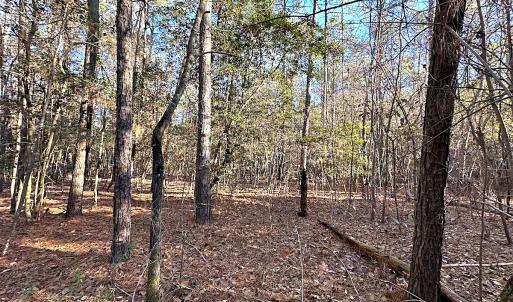 Photo #36 of SOLD property in 320 Collins Rd, Whaleyville, VA 18.5 acres