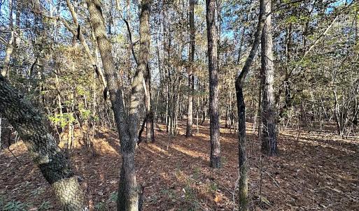 Photo #37 of SOLD property in 320 Collins Rd, Whaleyville, VA 18.5 acres