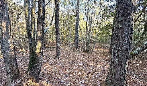 Photo #38 of SOLD property in 320 Collins Rd, Whaleyville, VA 18.5 acres