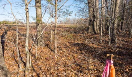 Photo #9 of SOLD property in Off Cherry Grove Road - Lot 21, Yanceyville, NC 1.0 acres