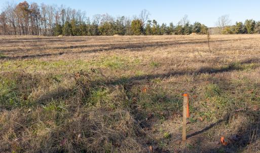 Photo #27 of SOLD property in Off Cherry Grove Road - Lot 21, Yanceyville, NC 1.0 acres