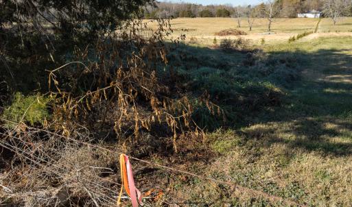 Photo #6 of SOLD property in Off Cherry Grove Road - Lot 17, Yanceyville, NC 1.1 acres