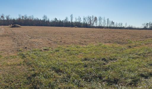 Photo #7 of SOLD property in Off Cherry Grove Road - Lot 17, Yanceyville, NC 1.1 acres