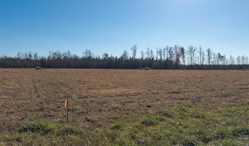 Photo #13 of SOLD property in Off Cherry Grove Road - Lot 17, Yanceyville, NC 1.1 acres