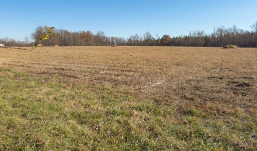 Photo #14 of SOLD property in Off Cherry Grove Road - Lot 17, Yanceyville, NC 1.1 acres