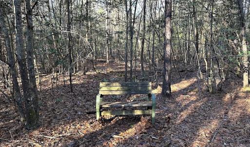 Photo #20 of SOLD property in 320 Collins Rd, Whaleyville, VA 18.5 acres